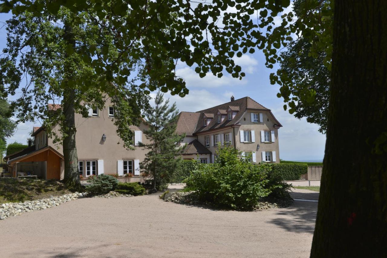 Maison D'Hotes Les Jardins De Madeleine Bernardvillé Kültér fotó