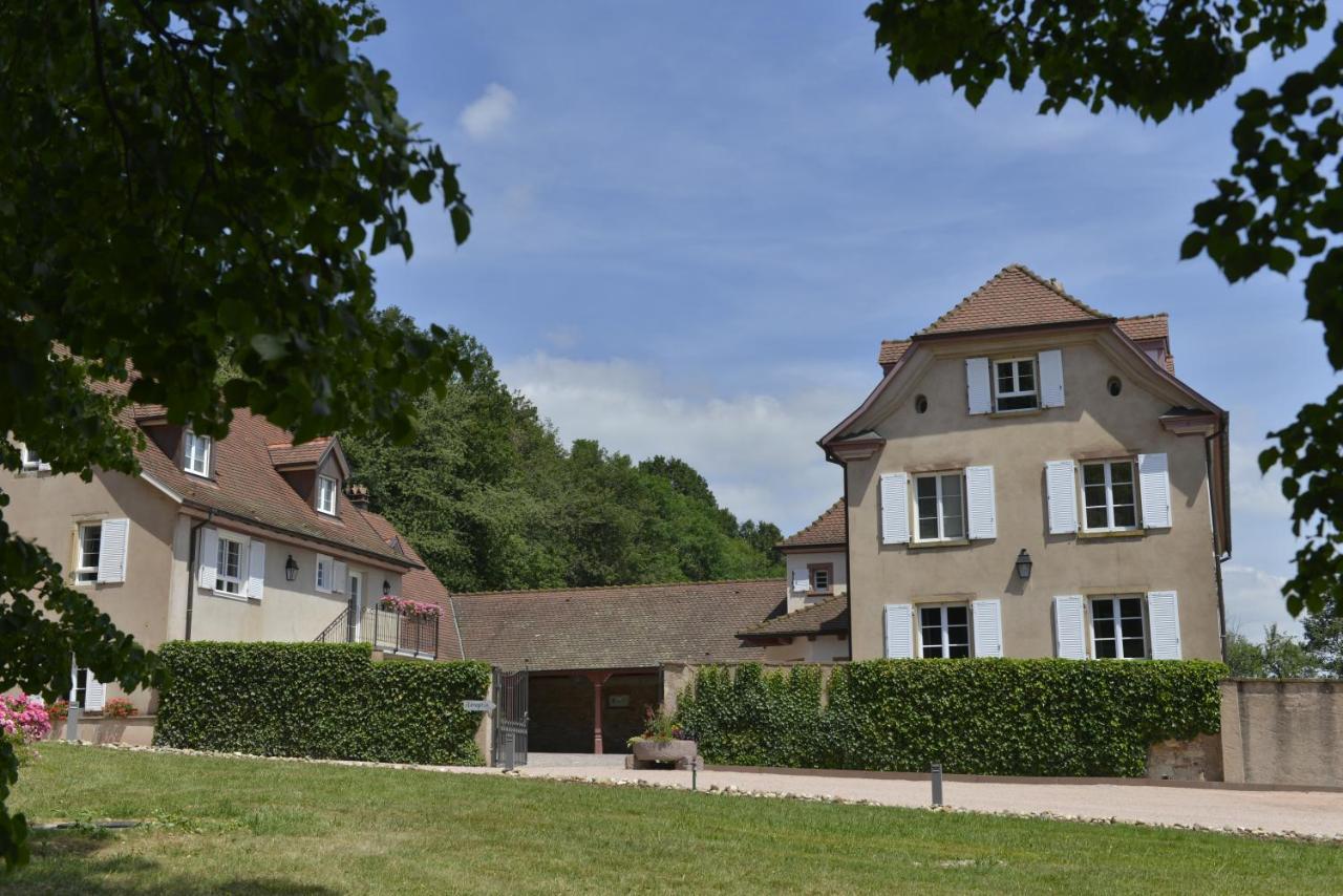 Maison D'Hotes Les Jardins De Madeleine Bernardvillé Kültér fotó