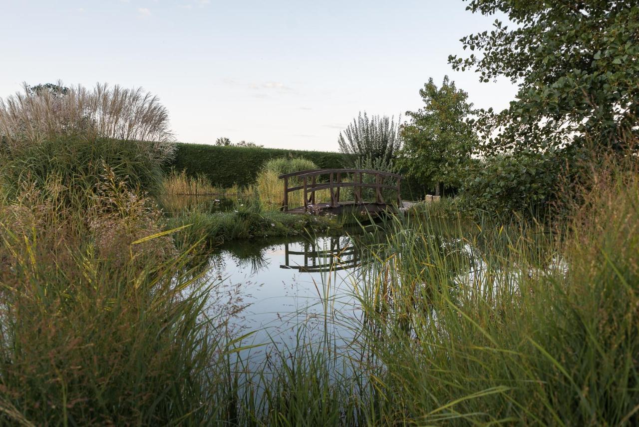 Maison D'Hotes Les Jardins De Madeleine Bernardvillé Kültér fotó